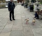 Syed 45 years London  United Kingdom