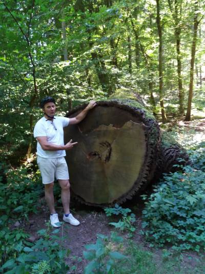 Alexis 63 años Kaiserslautern  Alemania
